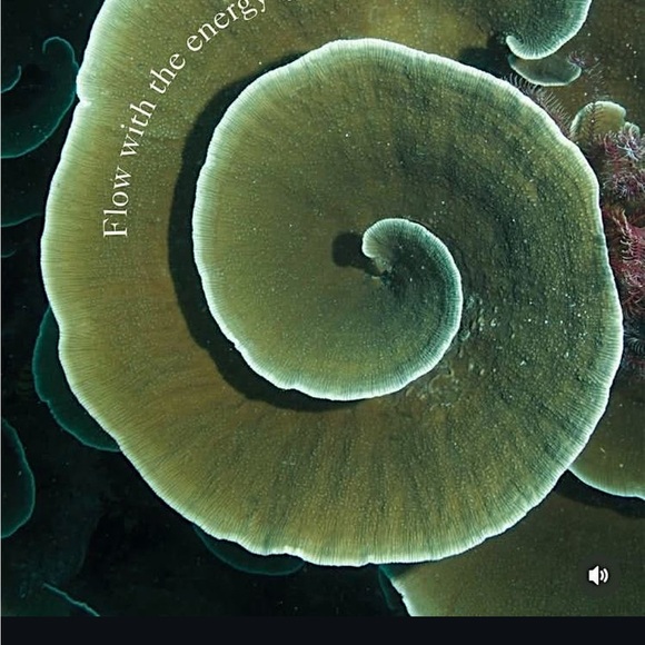 dusidog Tops - Green Spiral Art Print